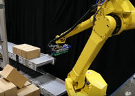 Porcellana Sistema di trasporto con palette del robot/macchina automatica di Palletizer per l&#039;impilamento dei materiali di strato società