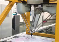 Alta velocità industriale del robot di parallelo di delta con 4 Dof per imballaggio/raccolto automatici