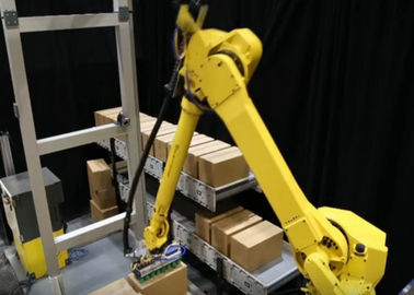 Porcellana Palletizer automatizzato robot flessibile con i programmi di trasporto con palette regolabili fabbrica
