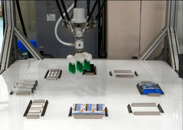 Porcellana Sistemi di ispezione visivi ad alta velocità che ordinano sistema con il robot di delta fabbrica